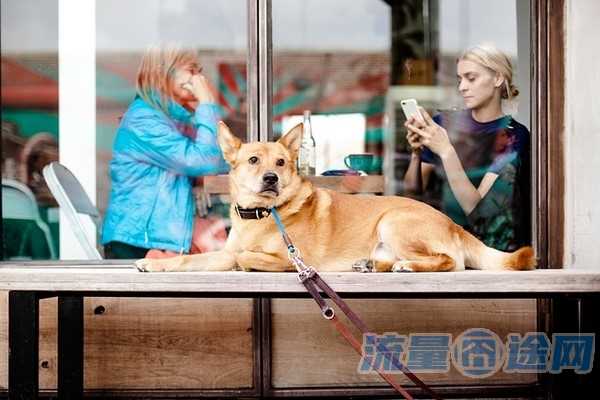 线下办手机卡去哪办(怎么线下办电话卡)1