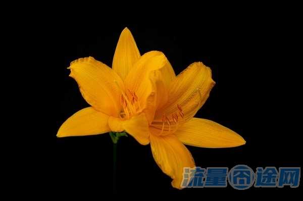 人在异地宽带如何注销(在异地宽带怎么注销)2
