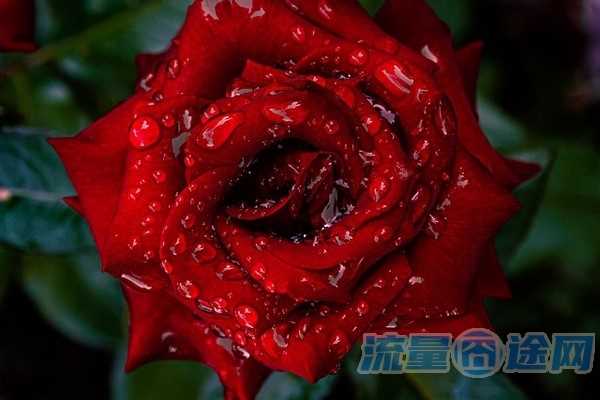 杭州哪家宽带信号好(杭州哪家宽带信号好一点)1