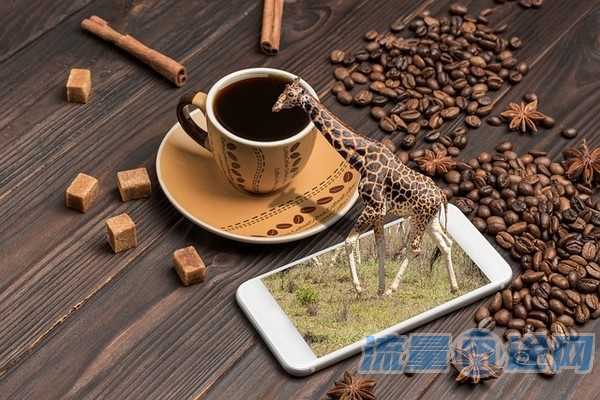 玖耀号卡月租多少（玖耀壹琉产品怎么样）2