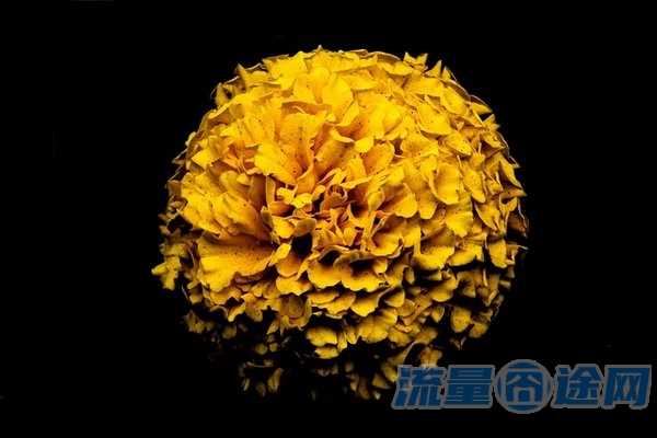 永久29元无限流量卡学生卡(永久29元无限流量卡学生卡能用吗)2