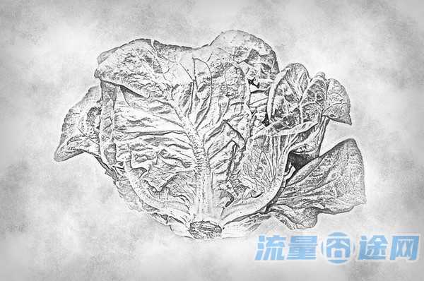 有没有无限流量的手机卡(现在有没有无限流量的手机卡)2
