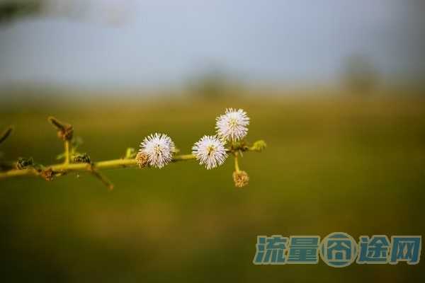 无限纯流量卡不限量（纯流量卡无限流量不限速）