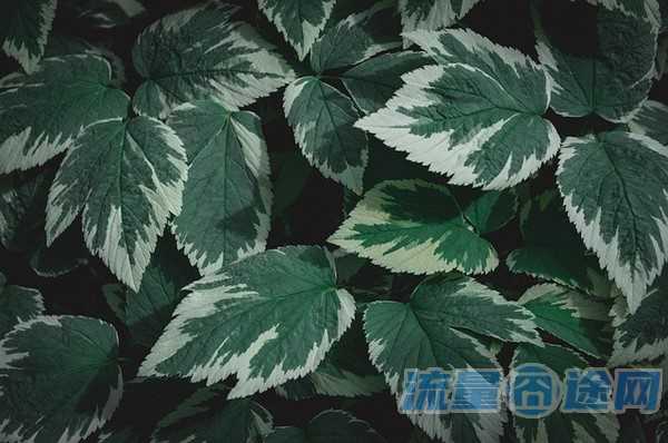 非大流量物联卡怎么解绑（物联网非定向流量卡）1