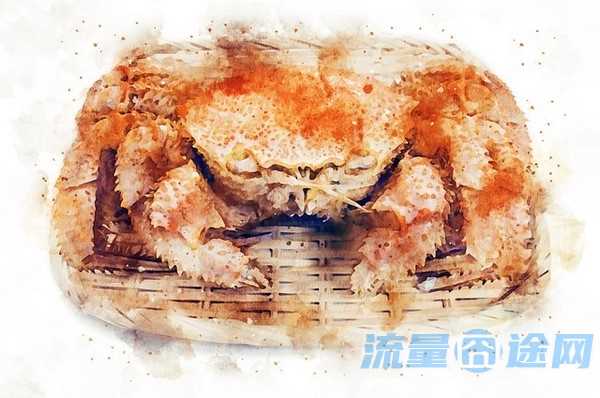 什么电话卡好用流量多还便宜(2020什么电话卡流量多又省钱)2